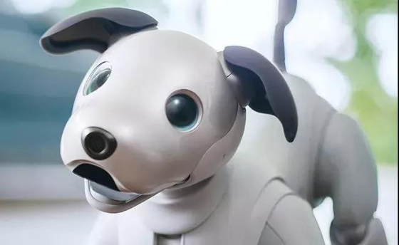土井利忠——SONY机器狗AIBO的创造者