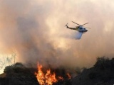 加州山火肆虐 用AI预测与定位火灾迫在眉睫
