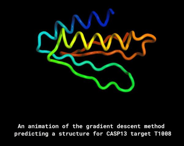 DeepMind推出AlphaFold：可根据基因预测生成蛋白质的