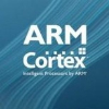 ARM的免费IP战略，能否撼动RISC-V的根基？