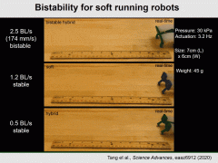 迄今最快移动速度软体机器人，每秒可达2.7个体