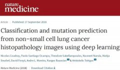 人工智能通过病理影像可预测癌症基因突变！